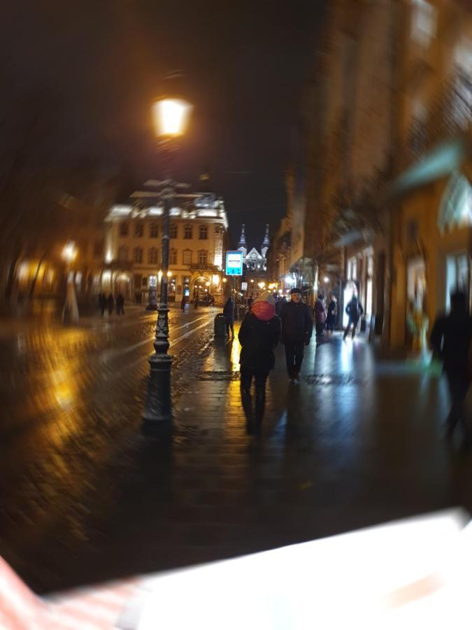 Апартаменти У Шевальє. Lviv Exteriör bild